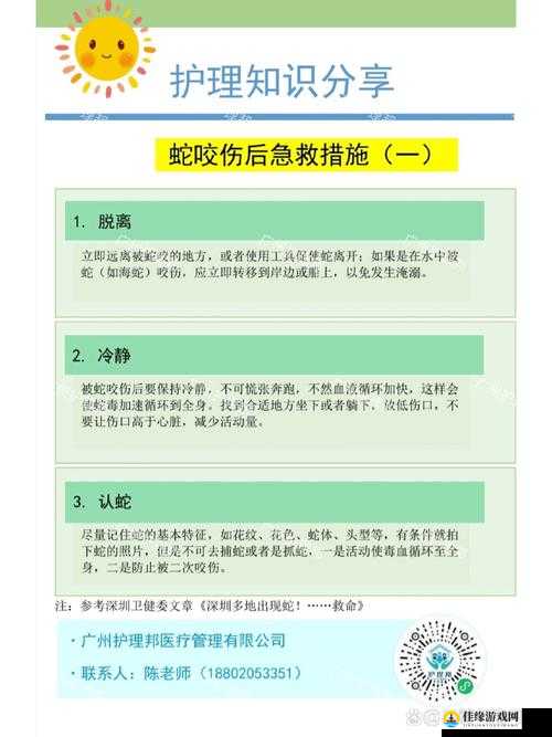 一小时人生，深度探讨被咬伤后的解决方法及有效避免死亡策略