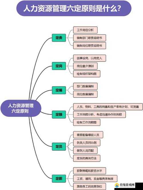 青青草人力资源：打造专业人力资源服务体系